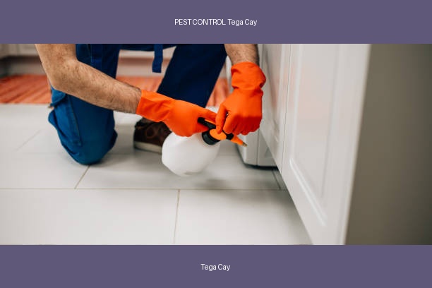 PEST CONTROL Tega Cay